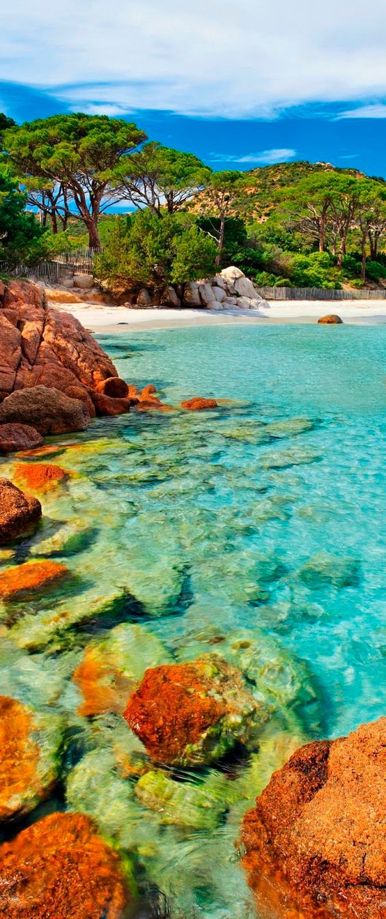 Palombaggia beach, Corsica, France