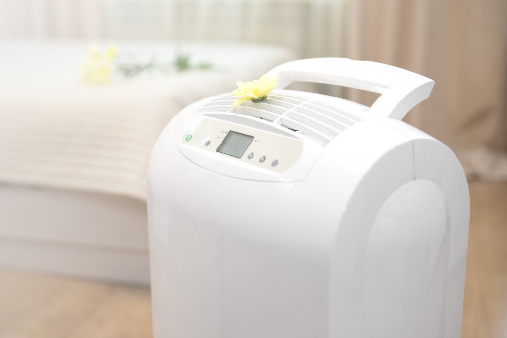A proper purifier can both purify and get rid of odors