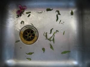 A Homeowners’ Worst Enemy: Clogged Drains