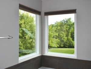 What Kind of Windows Should You Install in Your Home?